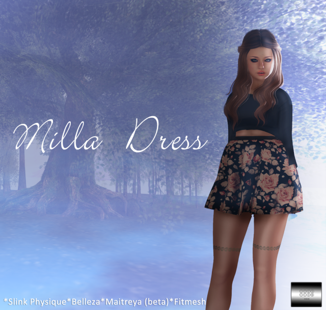milla dress Blog